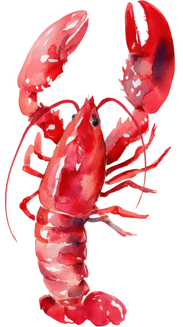 lobster_watercolour_sm Lobster